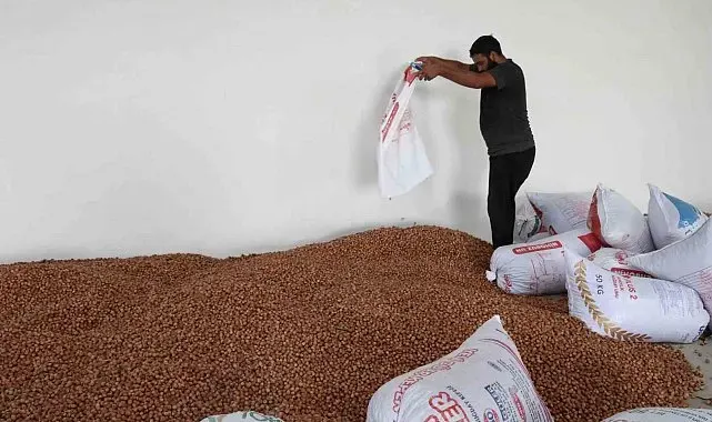 Kandıra'daki yeni depolama merkezi fındık üreticilerine TMO kolaylığı sağlıyor