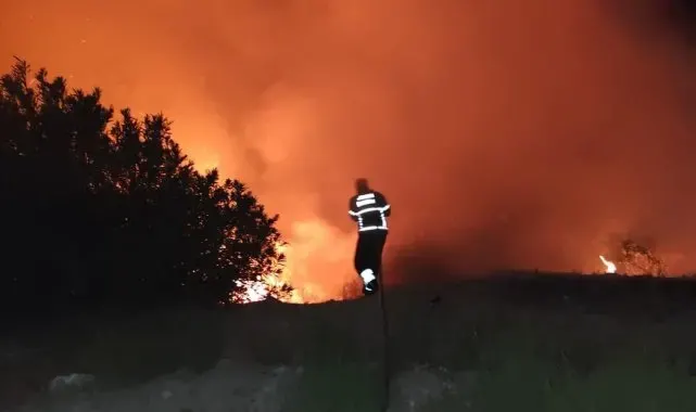 Antakya'da ormanlık alanda yangın