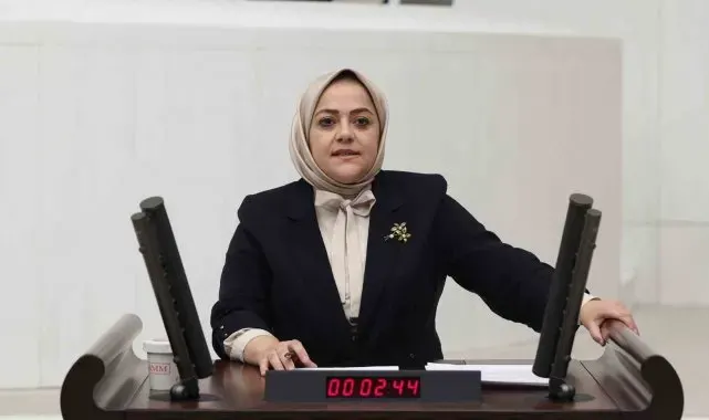 Denizli milletvekili Ün yenidoğan çetesi üzerinden eleştirilerde bulundu