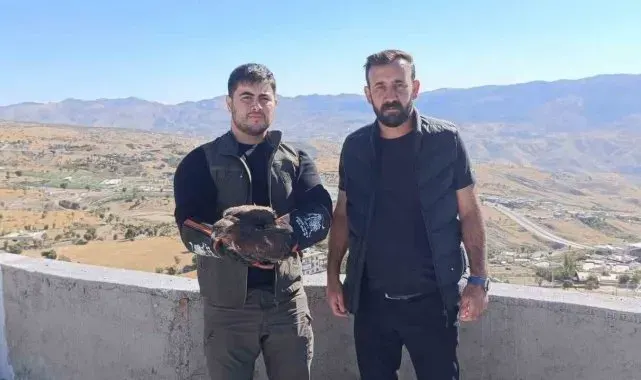 Şırnak'ta yaralı şahin tedavi altına alındı