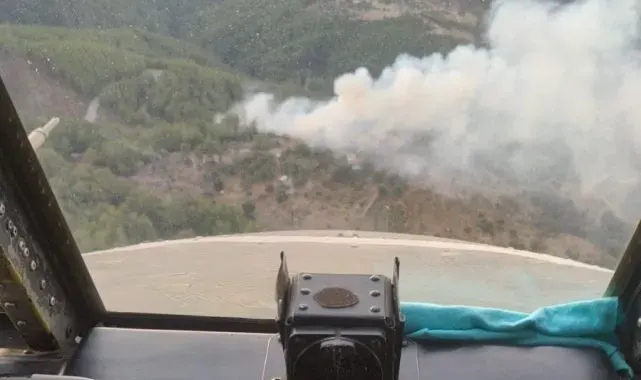 Milas'ta orman yangını büyümeden söndürüldü