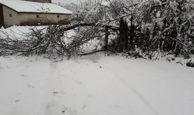 Kastamonu'da ekiplerin karla mücadelesi erken başladı