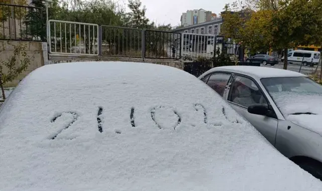 Van'da her yer beyaza büründü