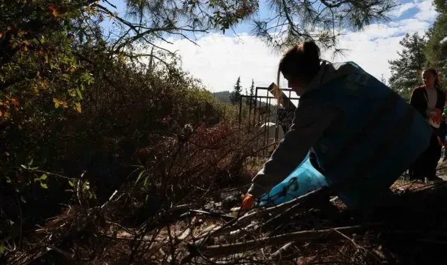 Manisa'da el ele verip ormanı temizlediler