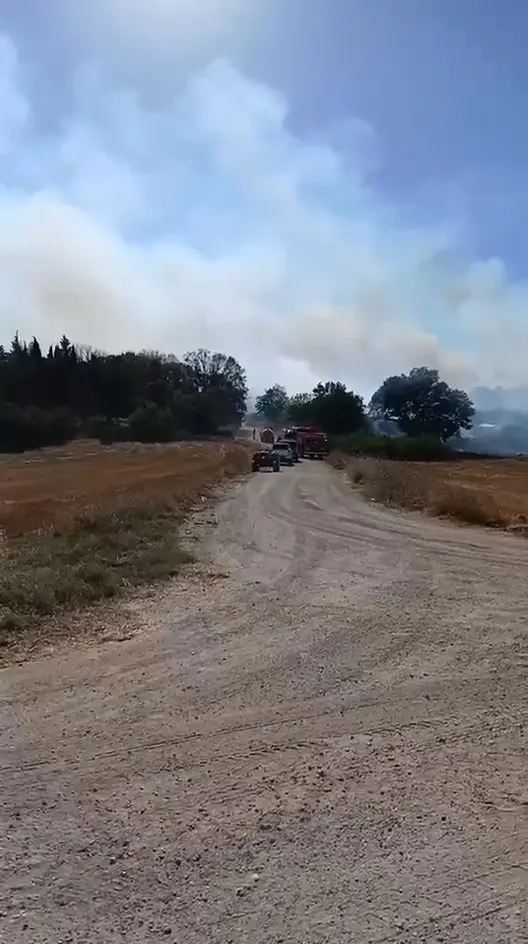 Arazide çıkan yangın, ekiplerin hızlı müdahalesiyle söndürüldü
