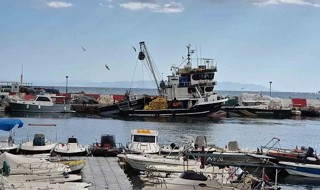 Marmara Denizi ulaşımına Poyraz engeli