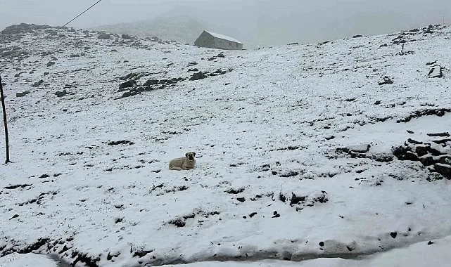 Sonbahar mevsiminin ilk karı Kaçkarlar'ı beyaza bürüdü